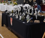 Stand Gouablin